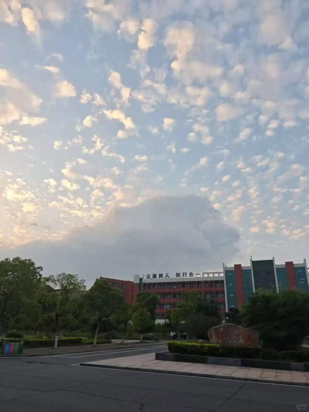 新能源职大的校园环境简直是太爱了(●♡∀♡