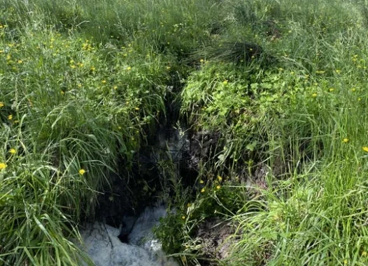 什么是水土修复