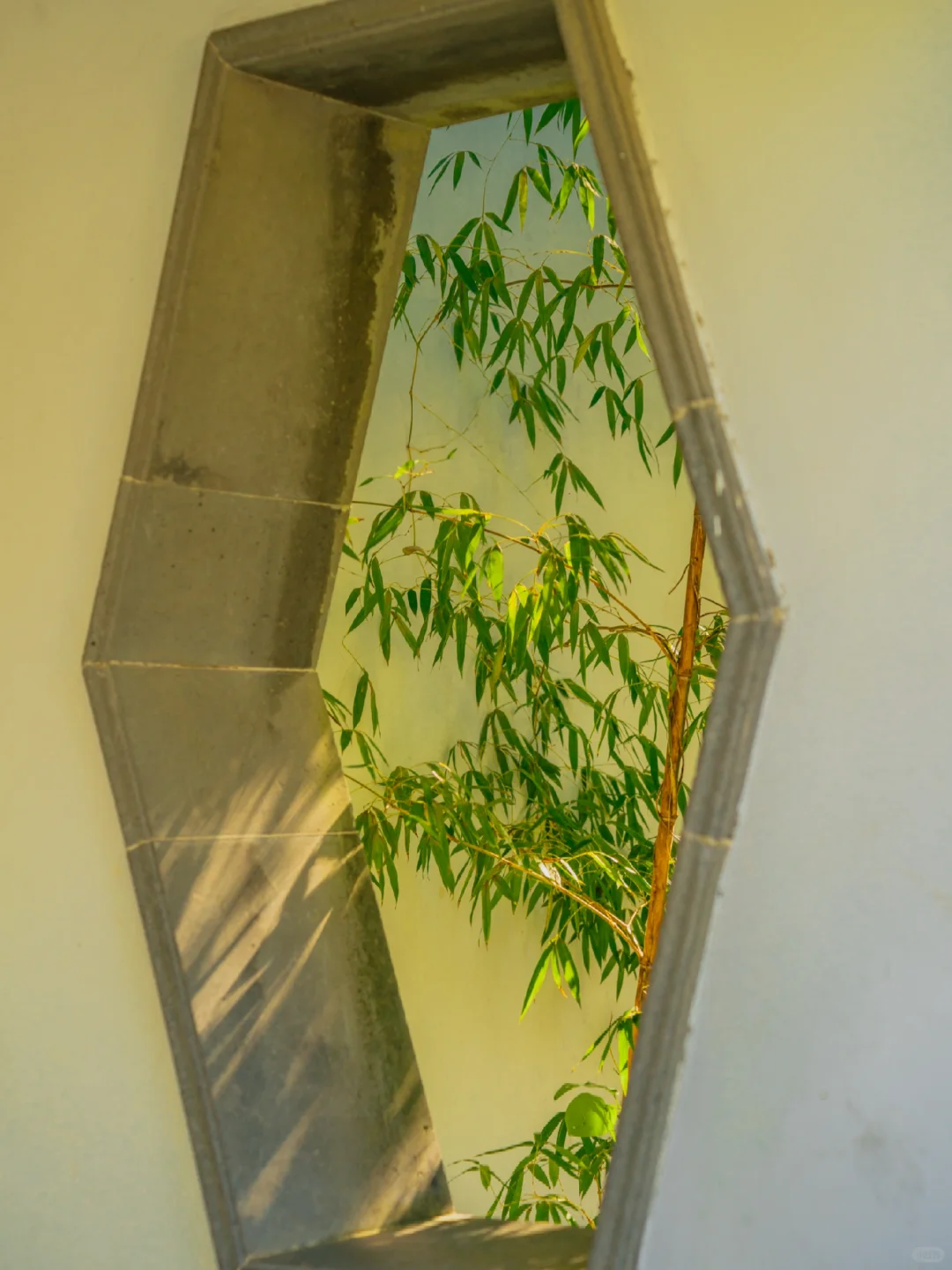 终于有人把拙政园的封神花窗整理出来了‼️