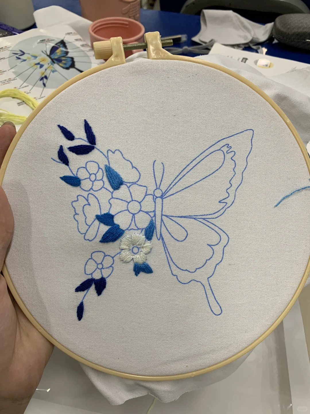 ?一只蝴蝶的成长过程