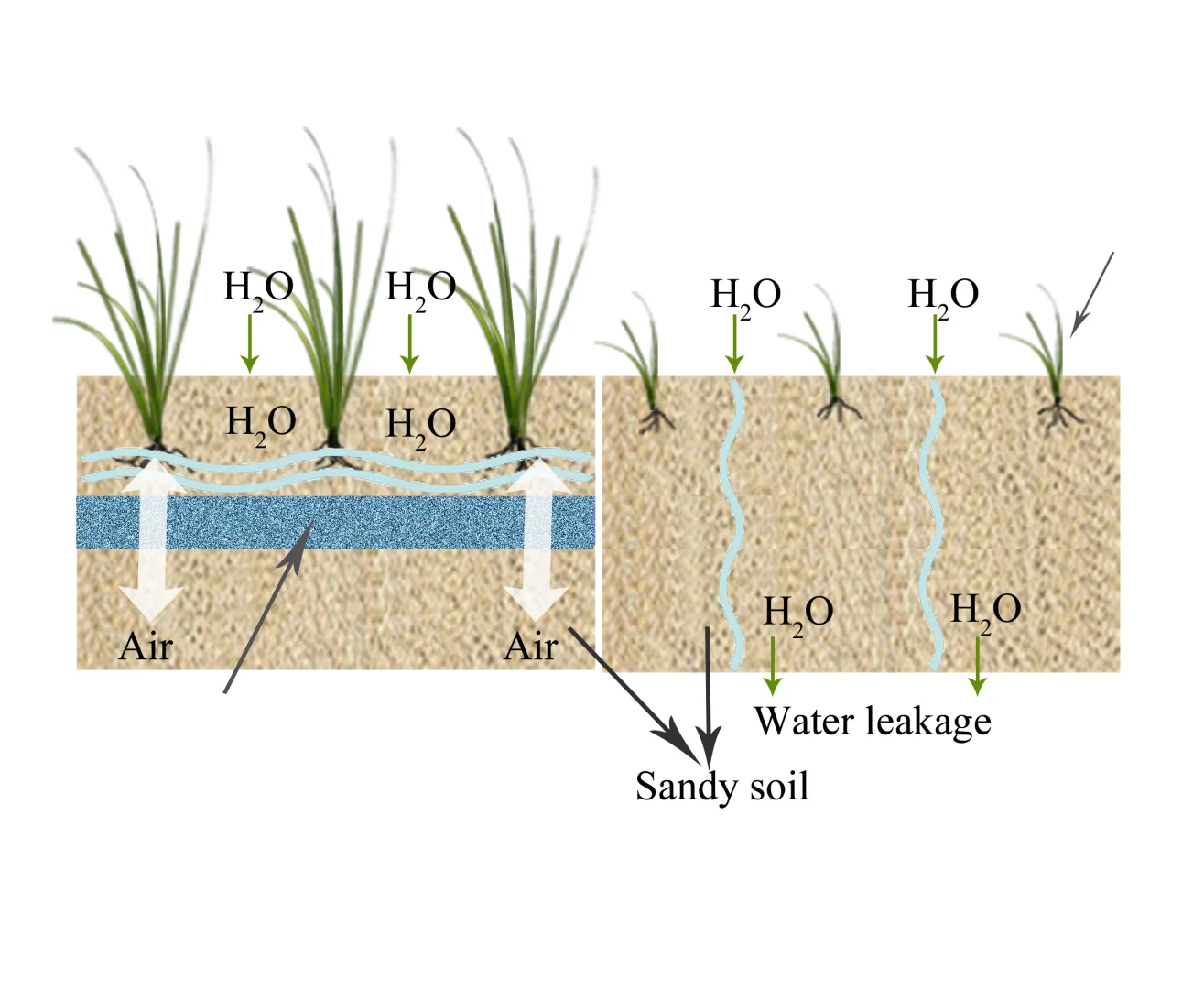 超疏水沙助力生态环境修复