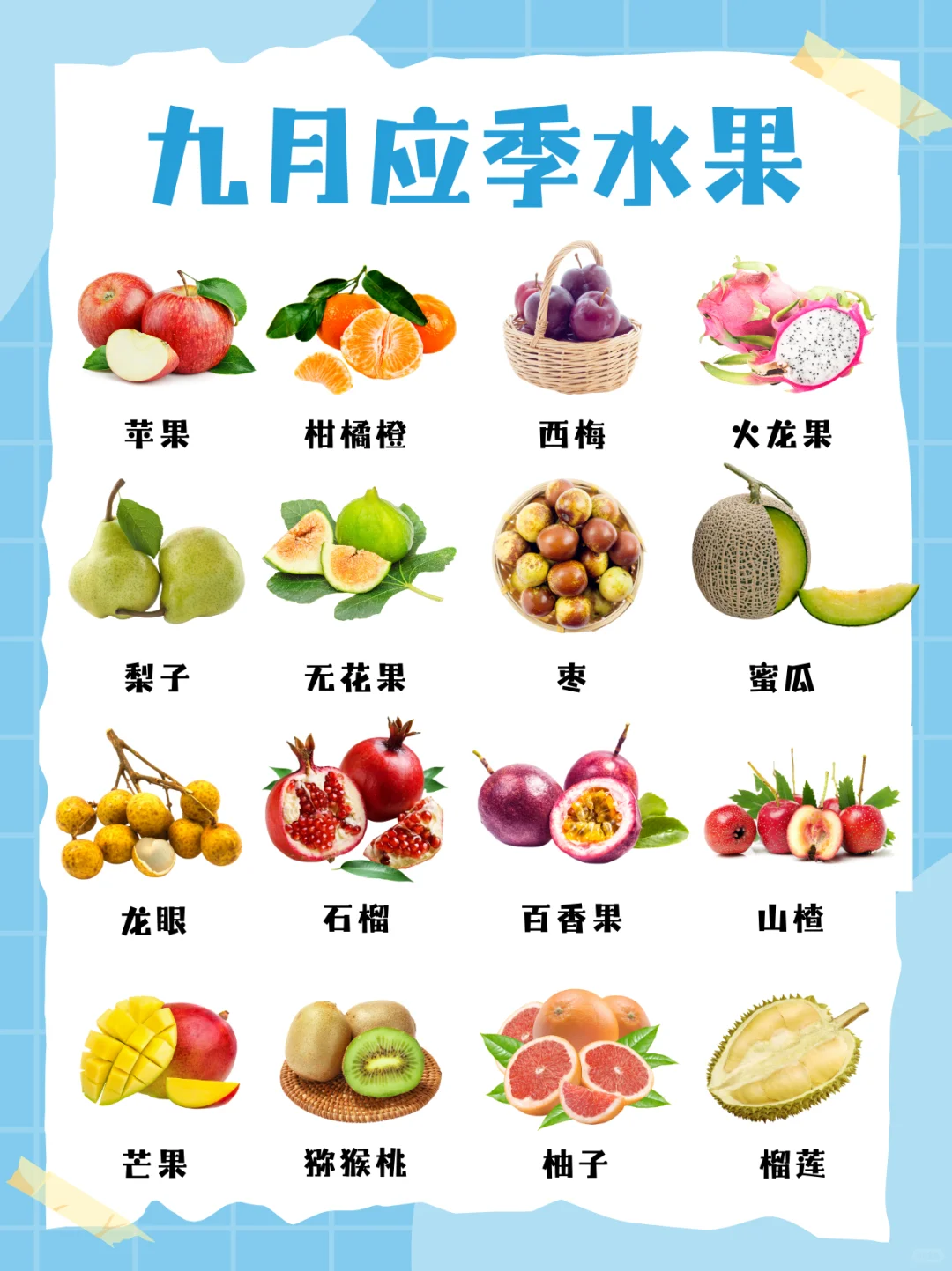 九月应季水果?来啦！