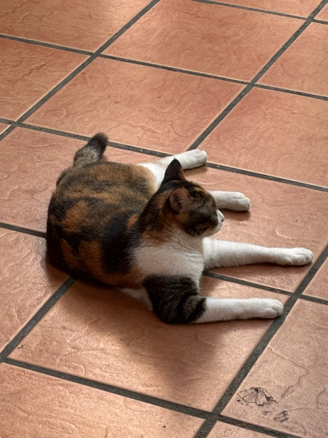 长期主义 | 电子产品5-6年使用计划