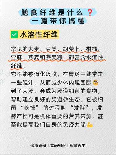 膳食纤维是什么？