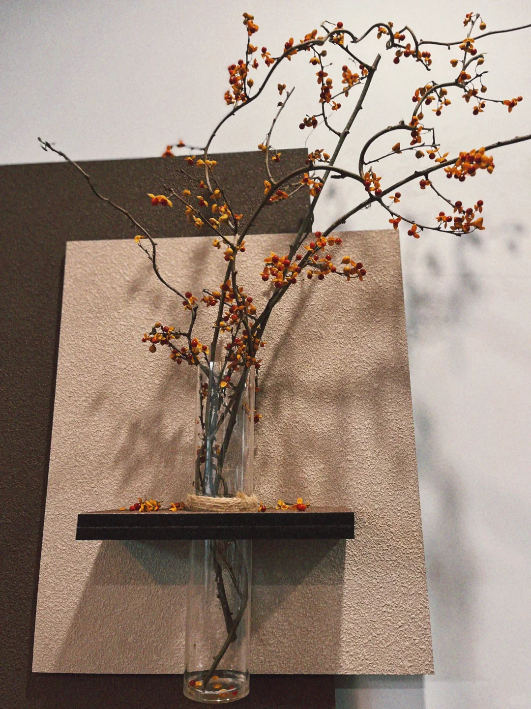 南蛇藤干枝真好看