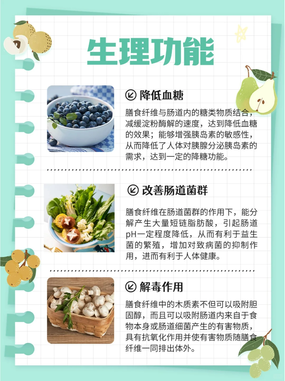 每天学点营养学-膳食纤维