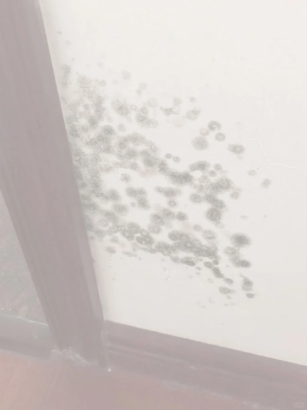 墙面问题总结之墙面发霉处理方法