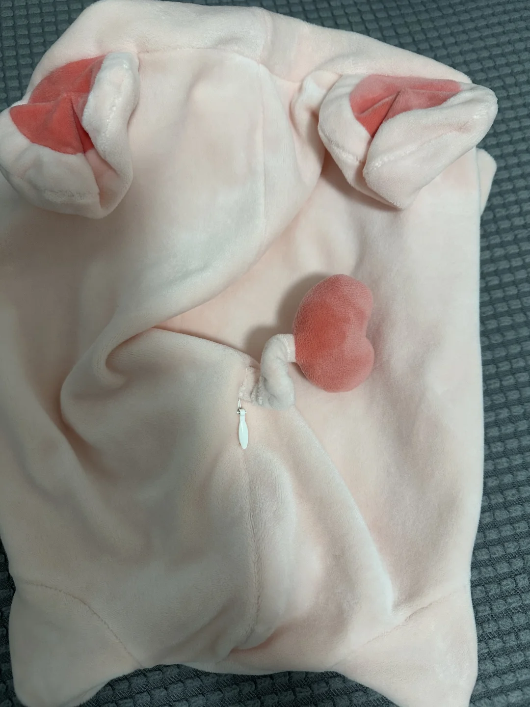 又给猪猪做手术了~