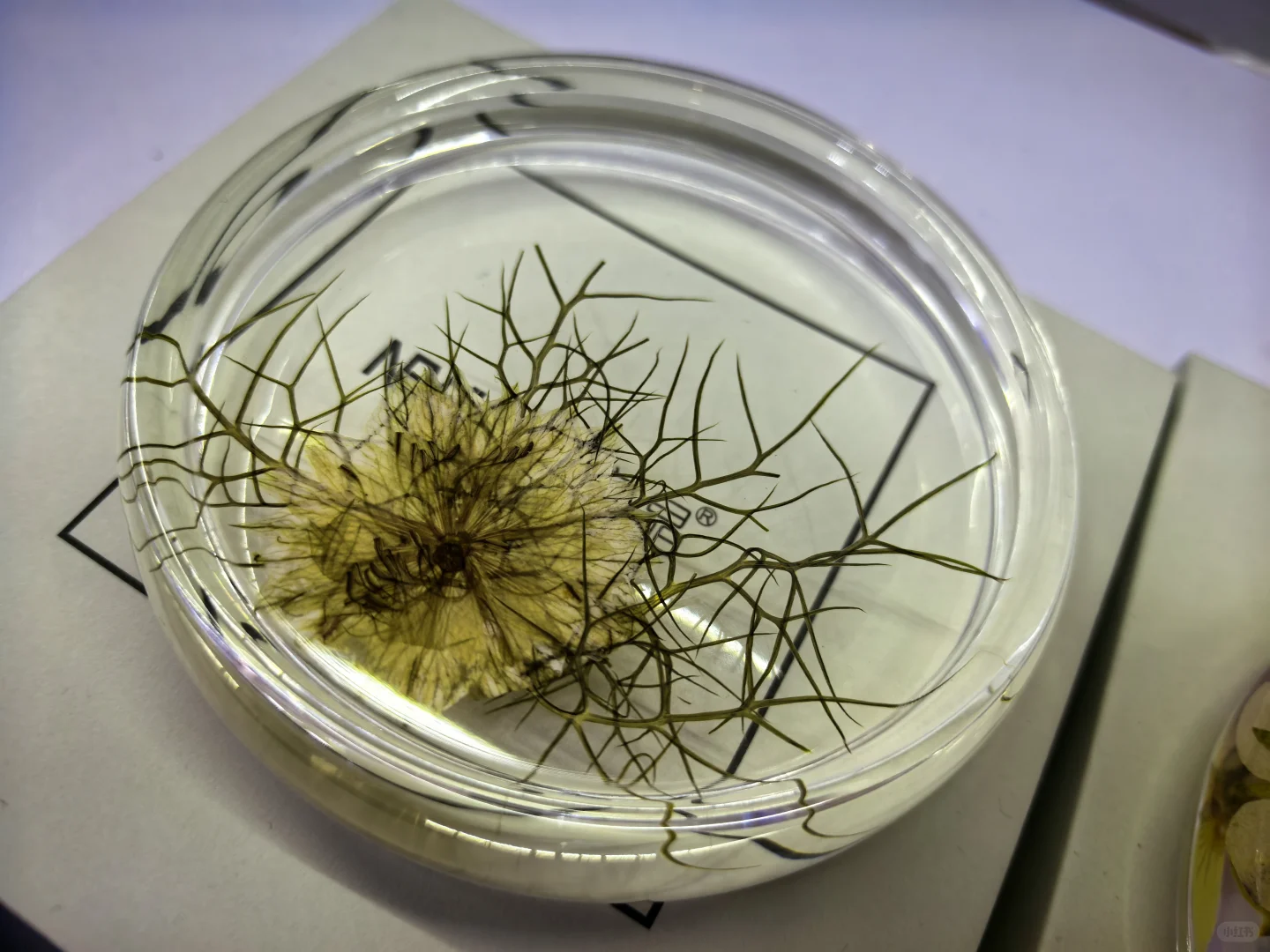 CMF树脂工艺01篇:从液态到固态的工艺魔法