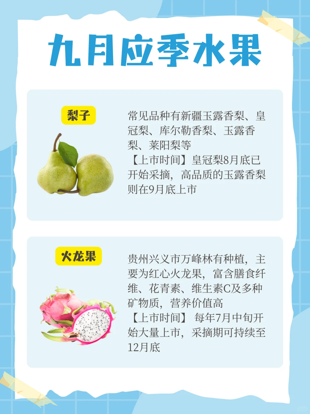九月应季水果?来啦！