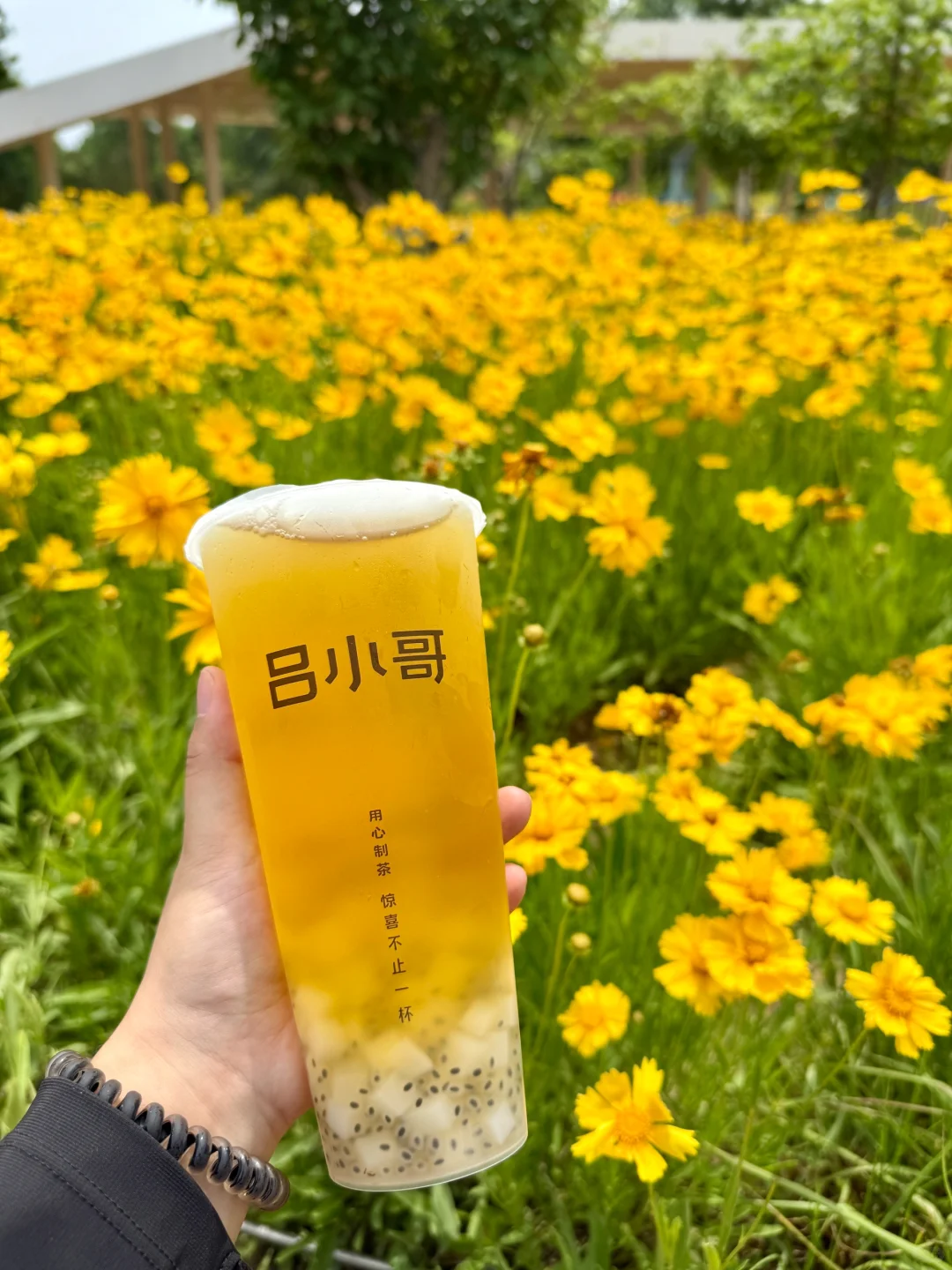 3！r！的夏日快乐水?我能喝一辈子??！！！