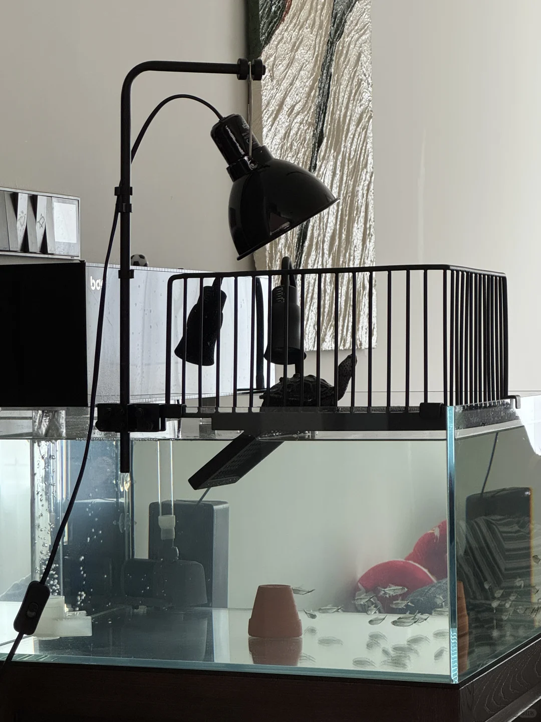 今日更换管道式底吸泵?