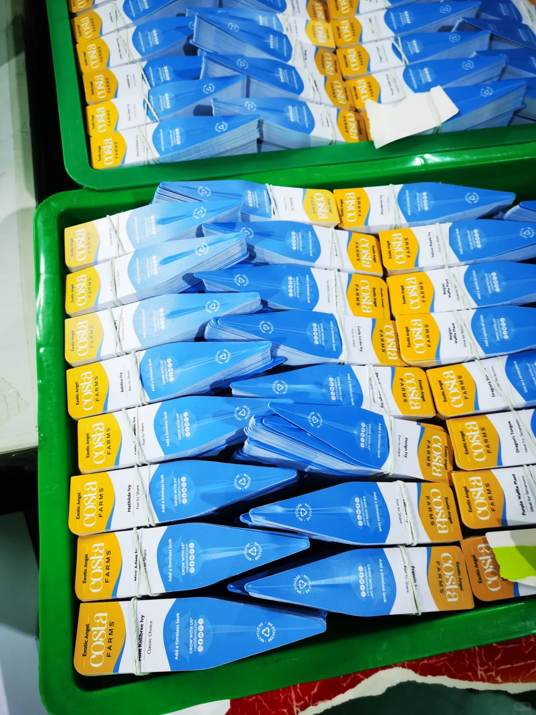 提供从化街口周边pvC吊牌画册彩盒印刷