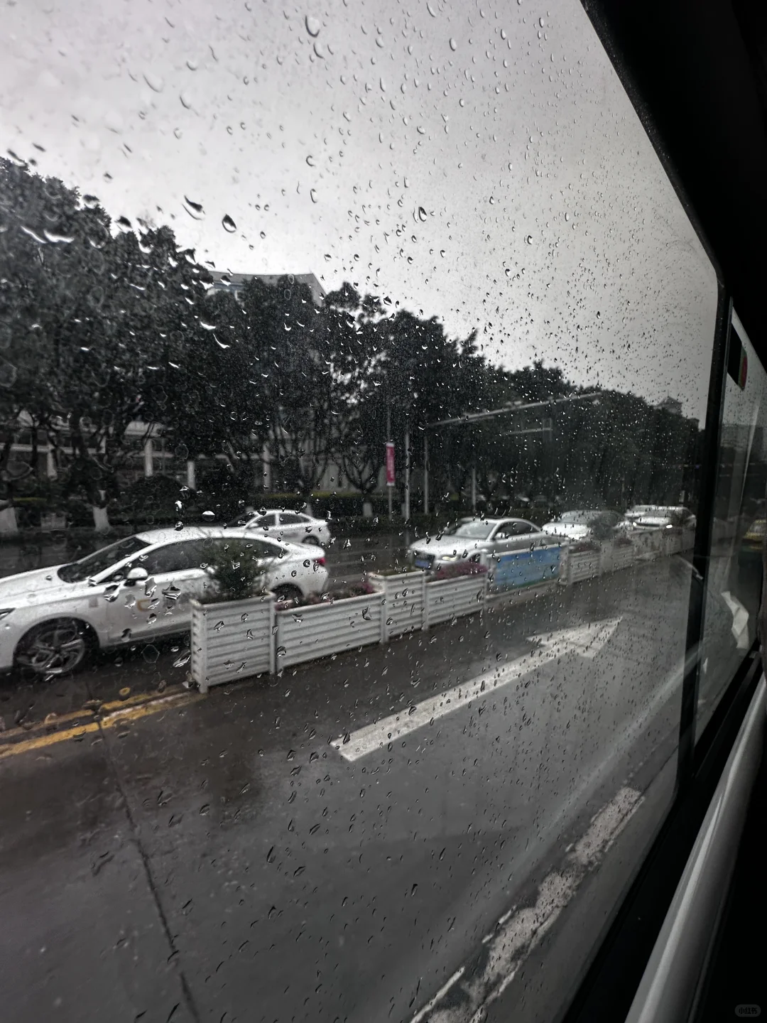 原创暗调车窗玻璃6张