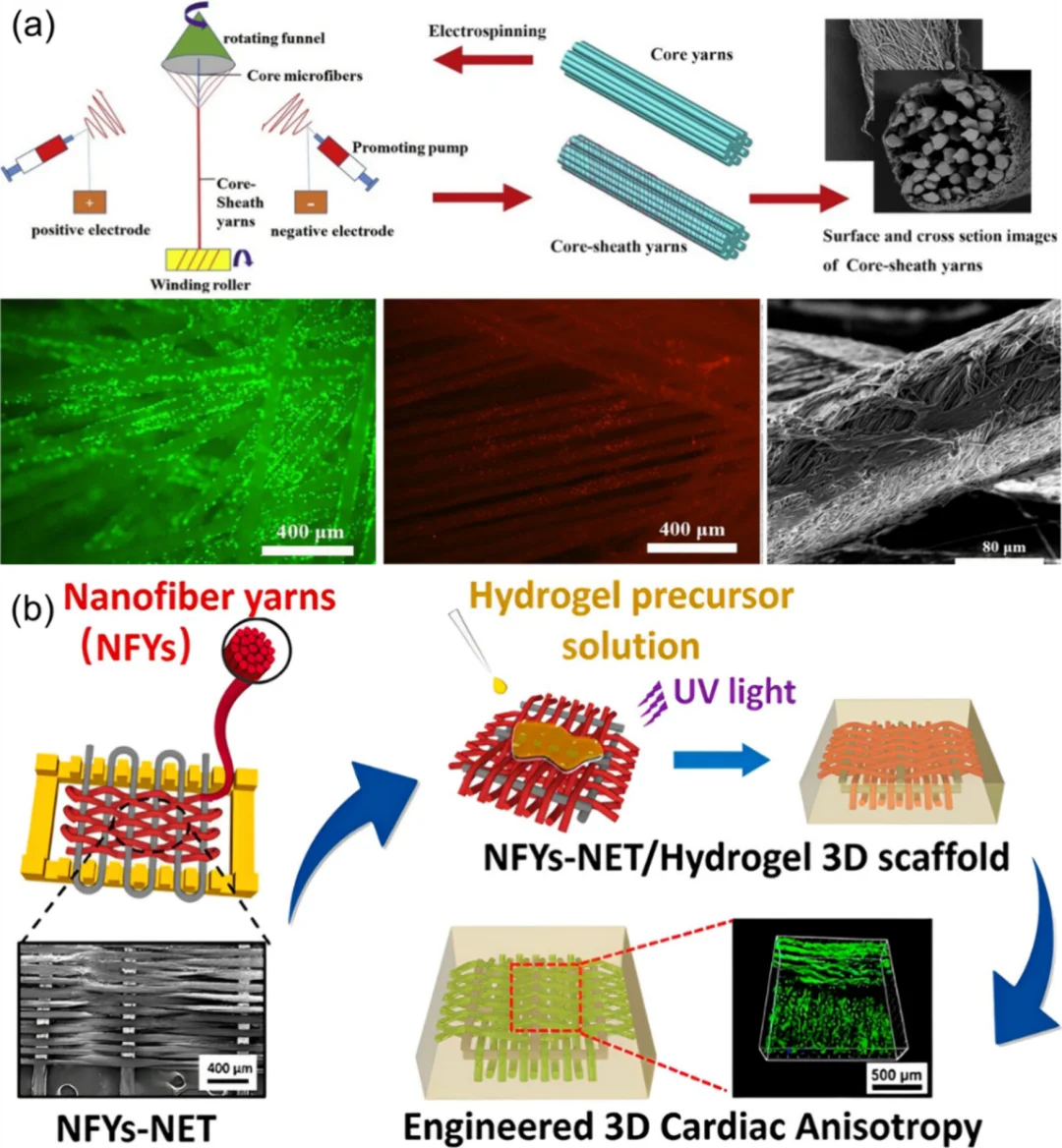 纳米纺丝融合加捻技术,赋能未来智能纺织品