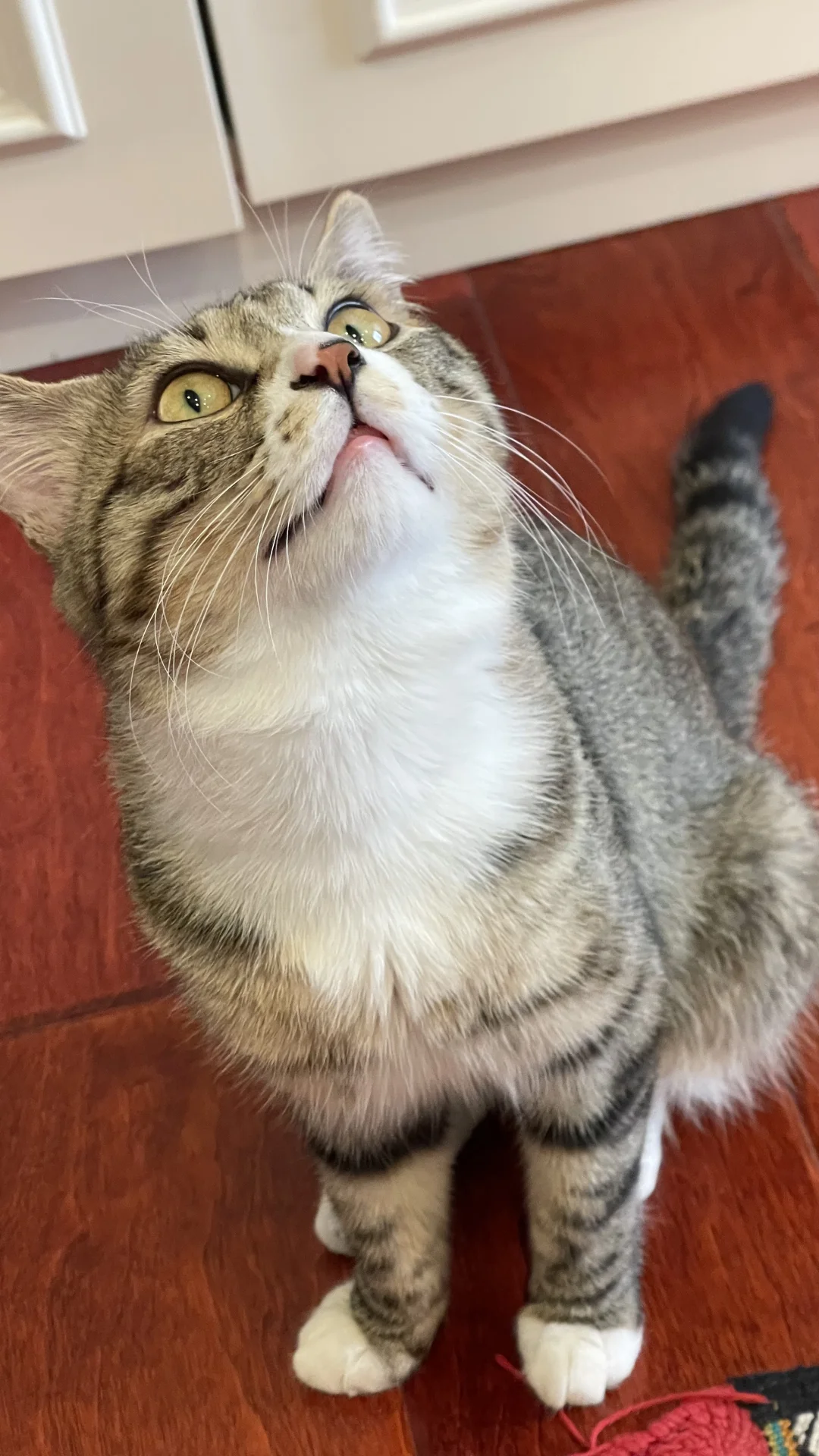 昨天看钱姐帖子的！今天玻璃爆赚啊啊啊啊！