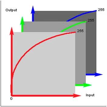 色彩管理基础›什么是LUT