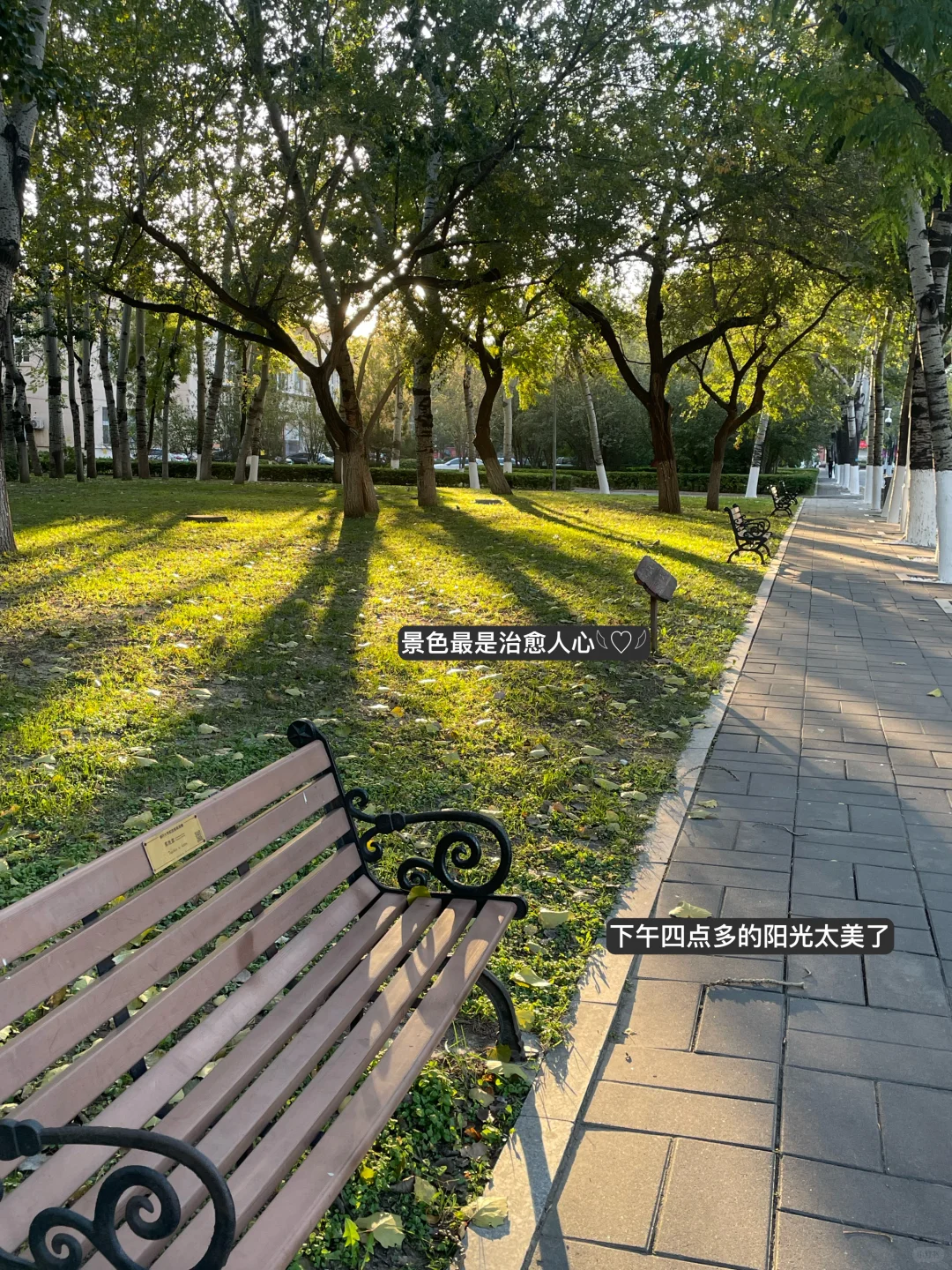 急急急，学生党想换新手机却不会挑