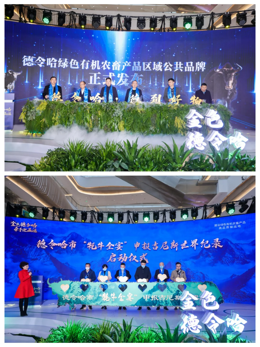 在商场里怎么做地方招商推介会/发布会？