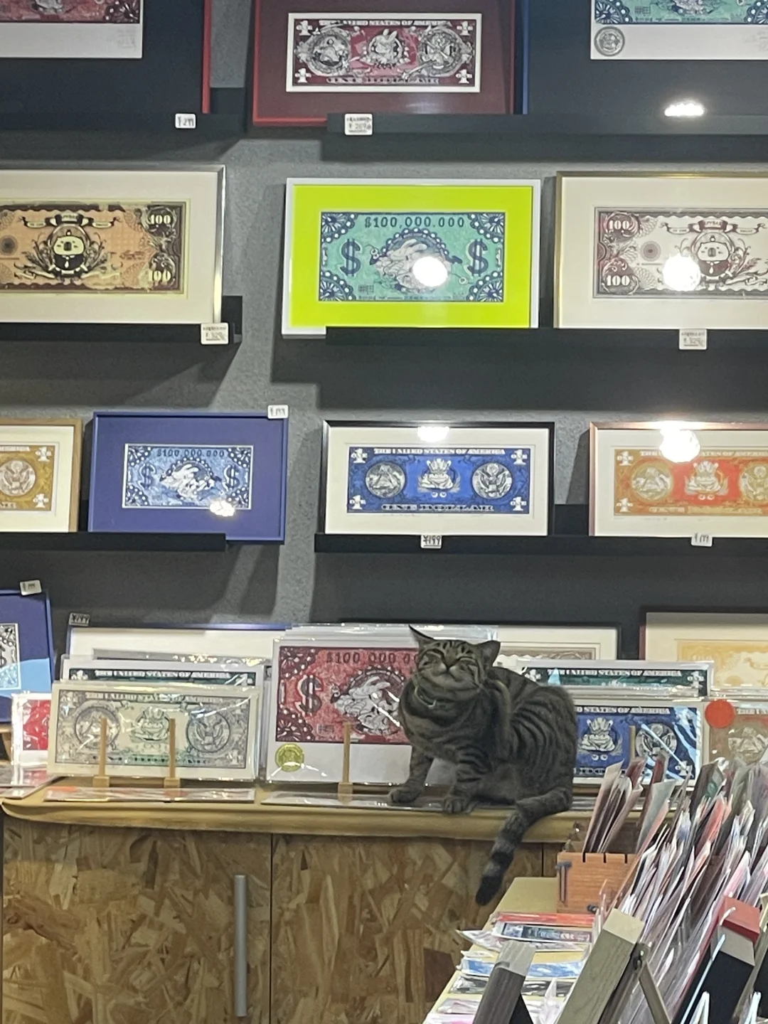 版画工作室里的猫咪鉴赏家?