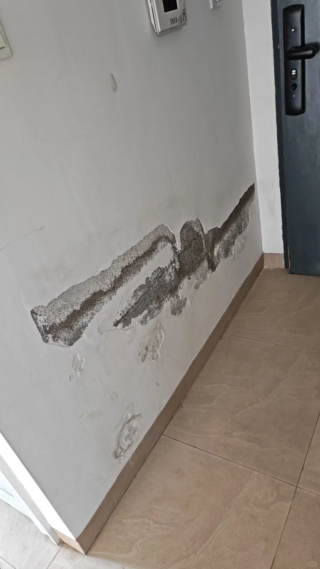 墙皮发霉这样补