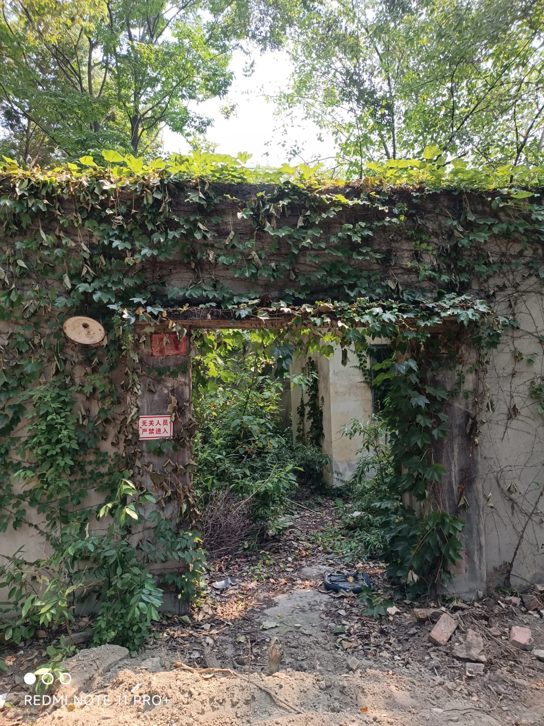 探访被世人遗忘的川冶机械厂旧址建筑群遗存