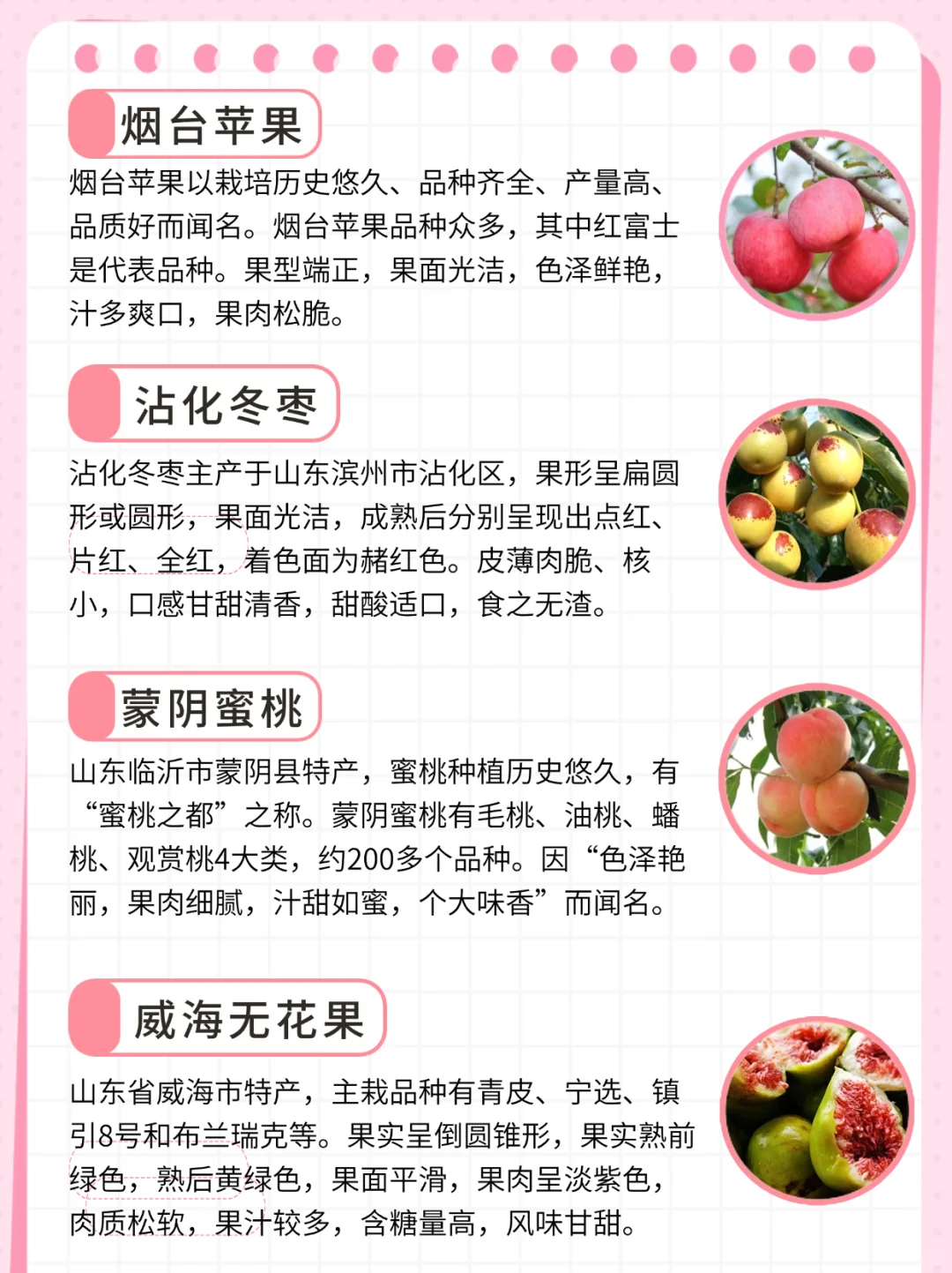 这些好吃的地理标志水果你都吃过吗|山东篇