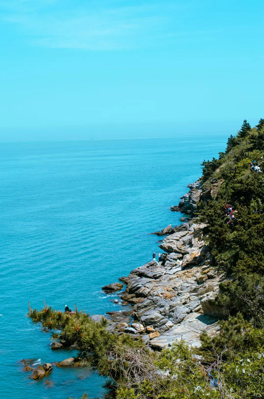 期货经历日记 day82