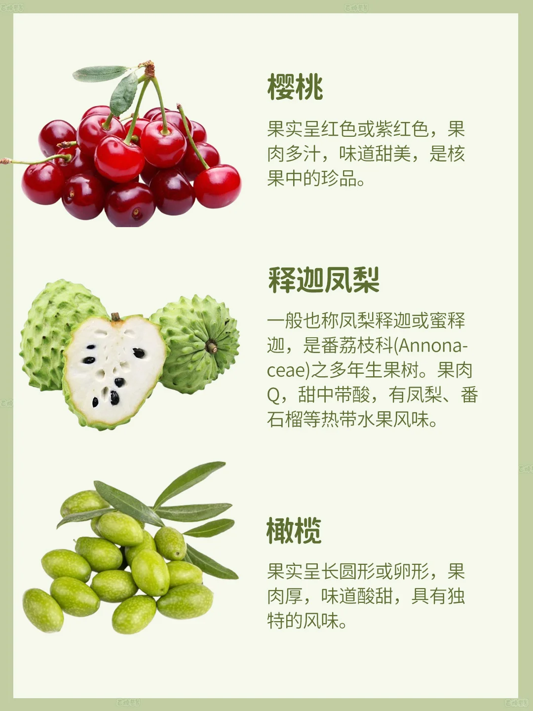 核果家族大揭秘!这些宝藏水果你都尝过吗?