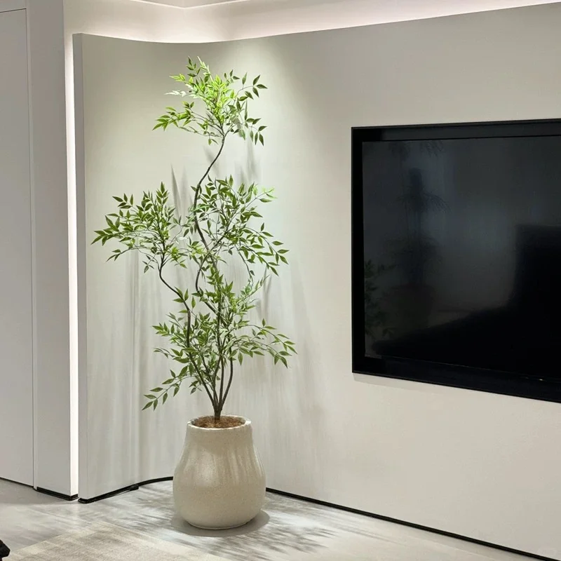 分享四款新家不会出错的装饰绿植