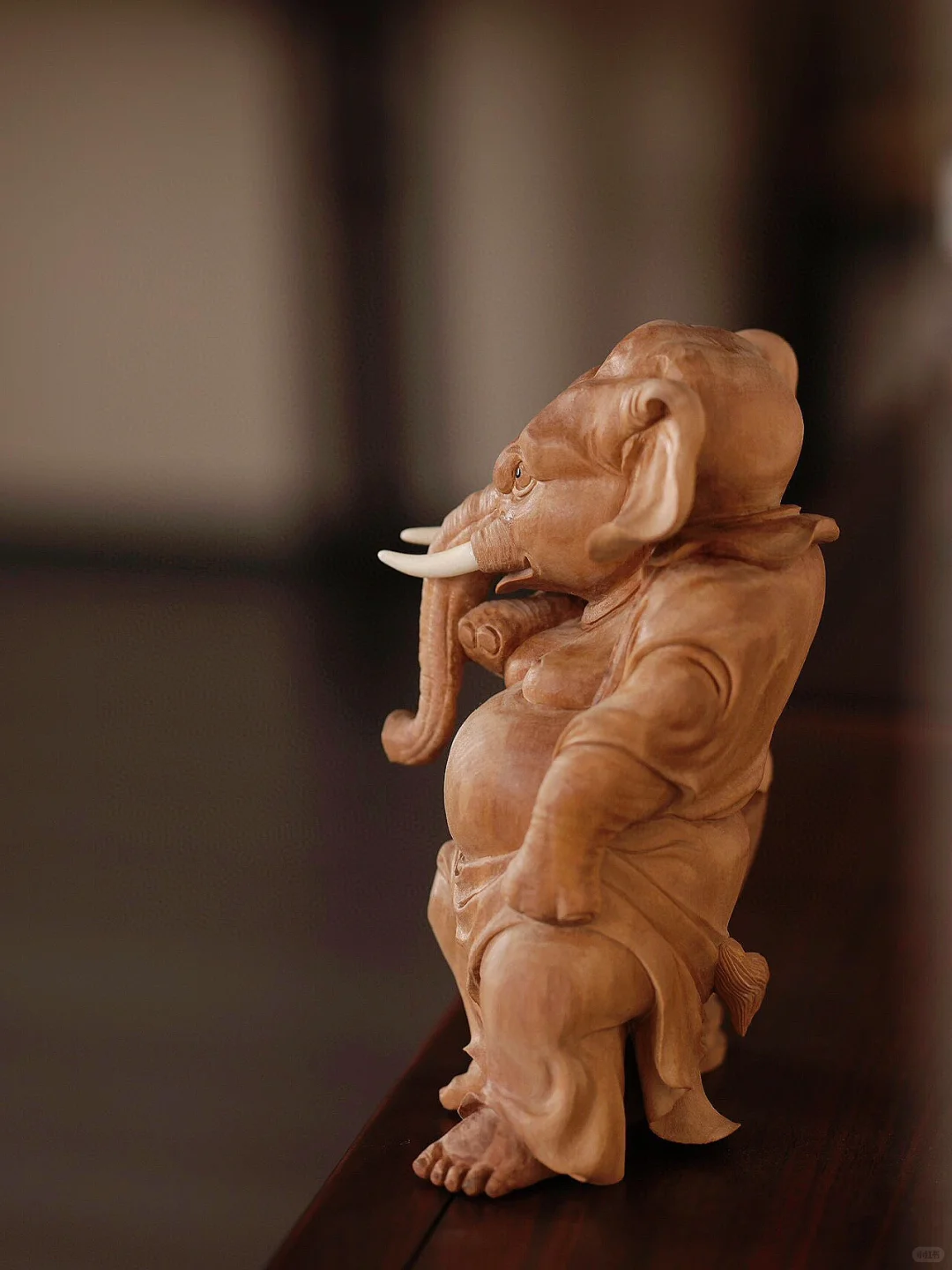 谁能拒绝酷酷的小象呢