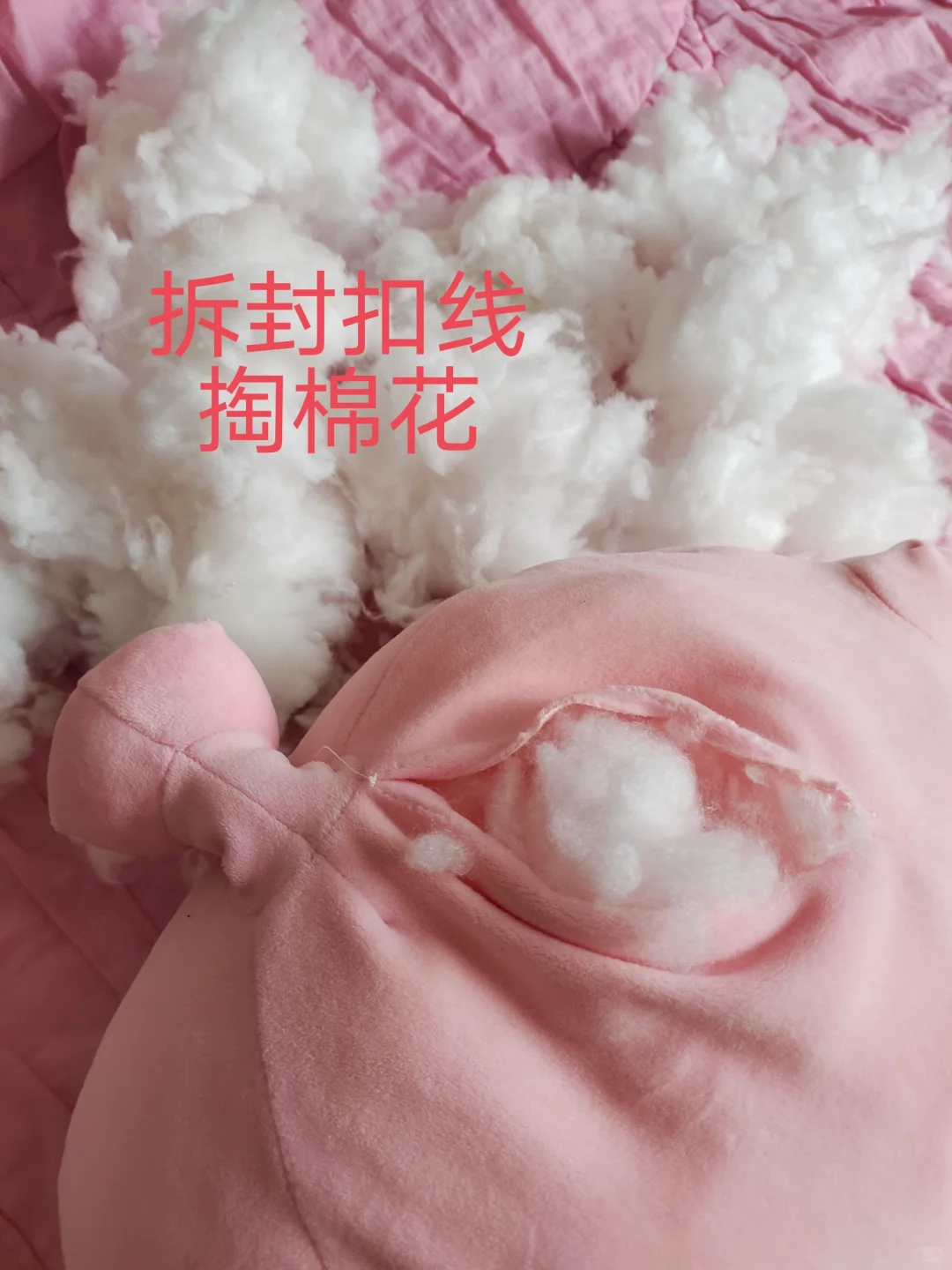 今天做“开颅手术”！