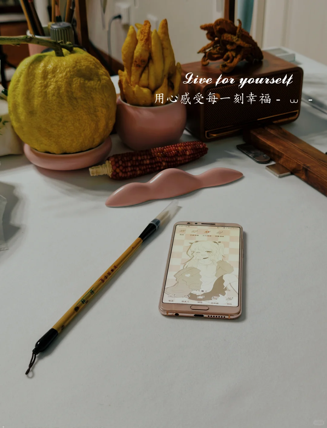 我的电子小垃圾用上啦