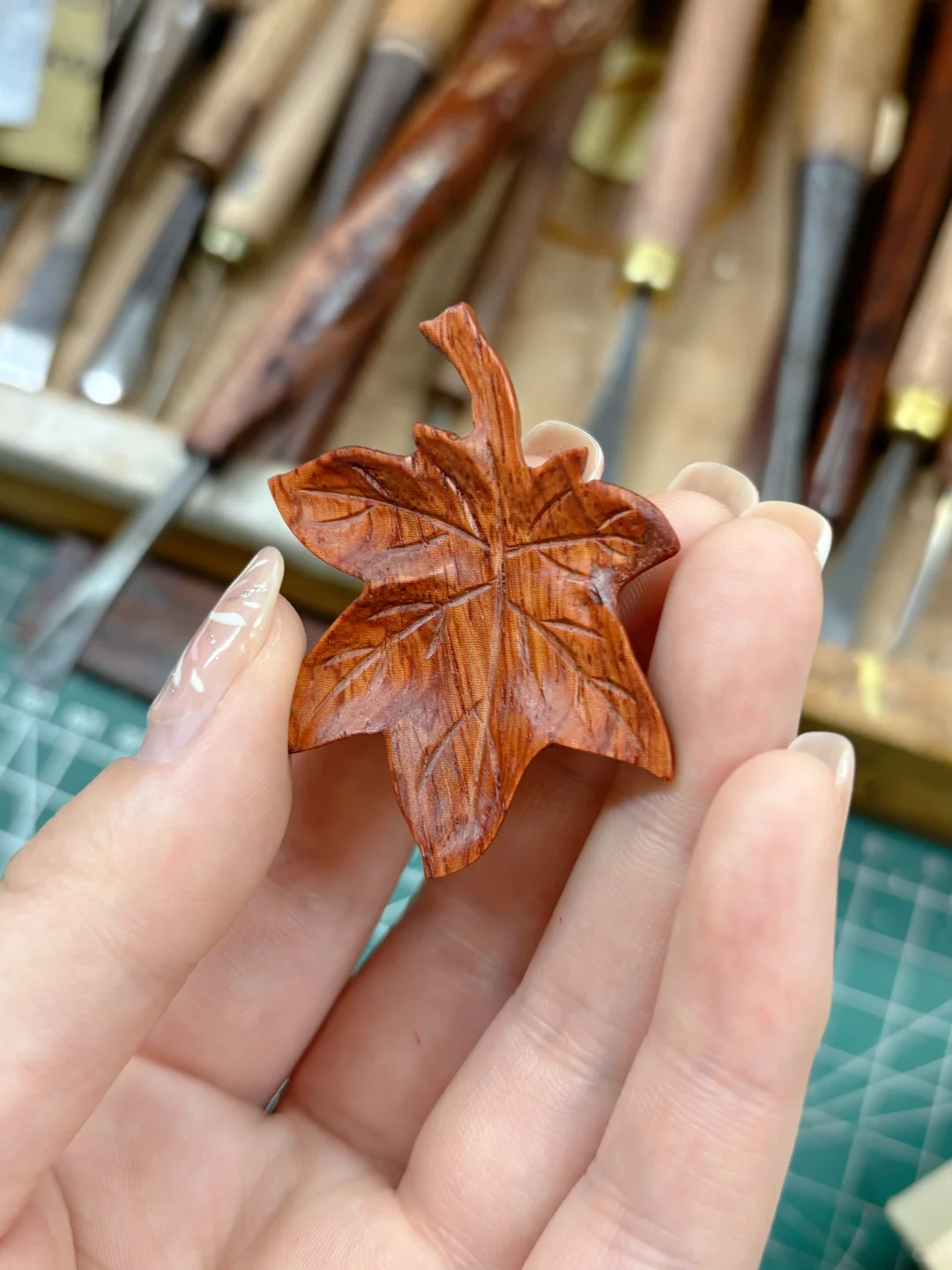 今年的枫叶好像不够红，那就赏你一丈红吧！