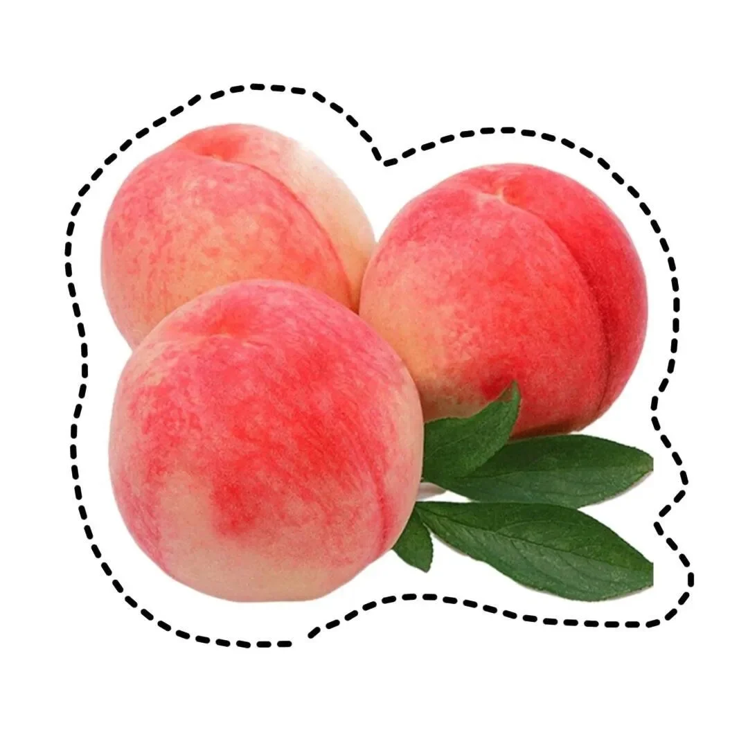 水果认知图片玩具｜可打印 手工剪纸素材