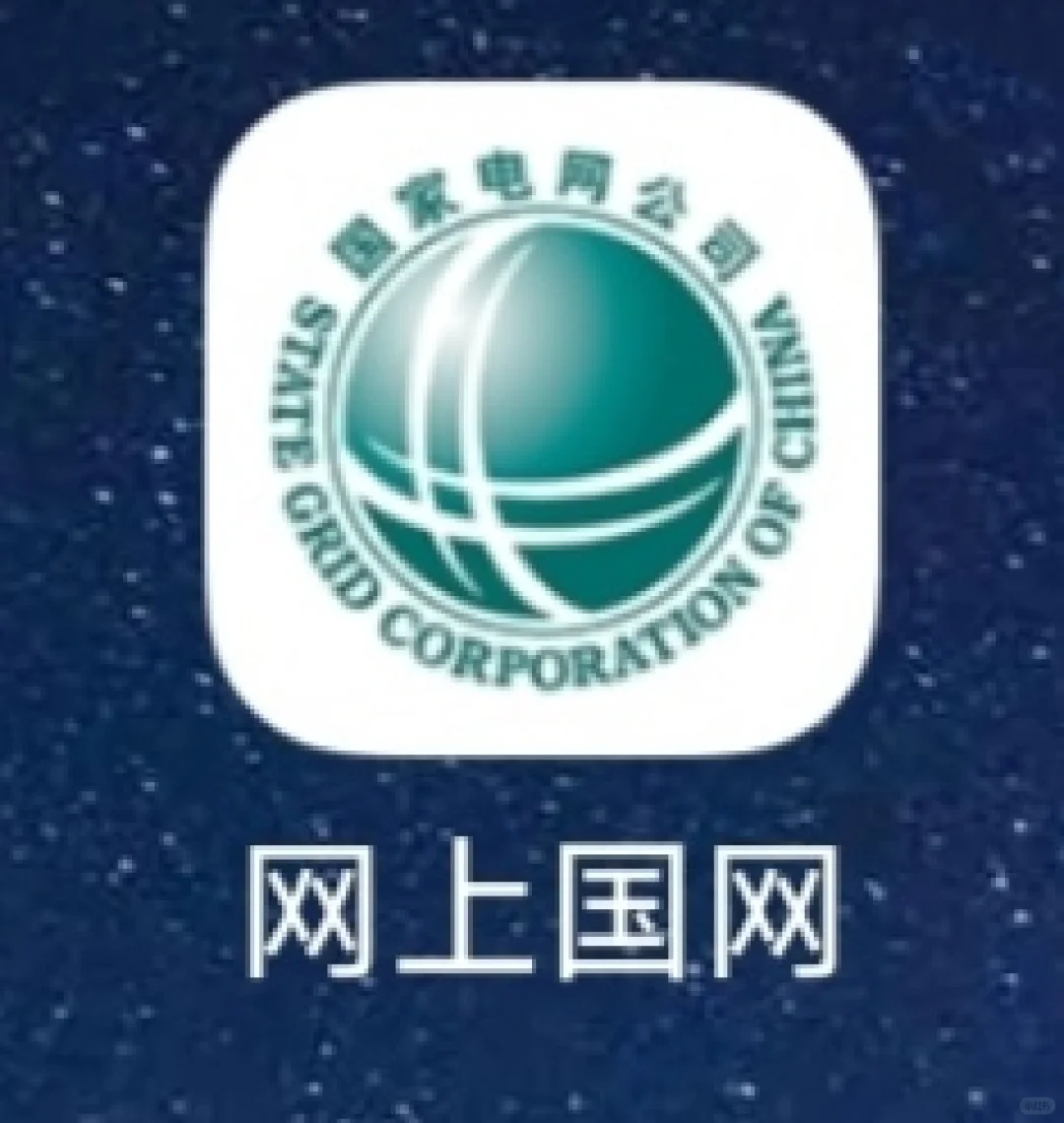 网上国网
