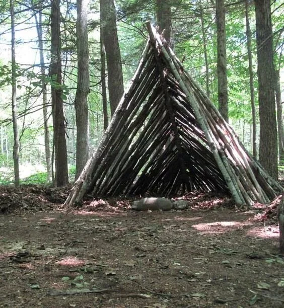 野外生存庇护所