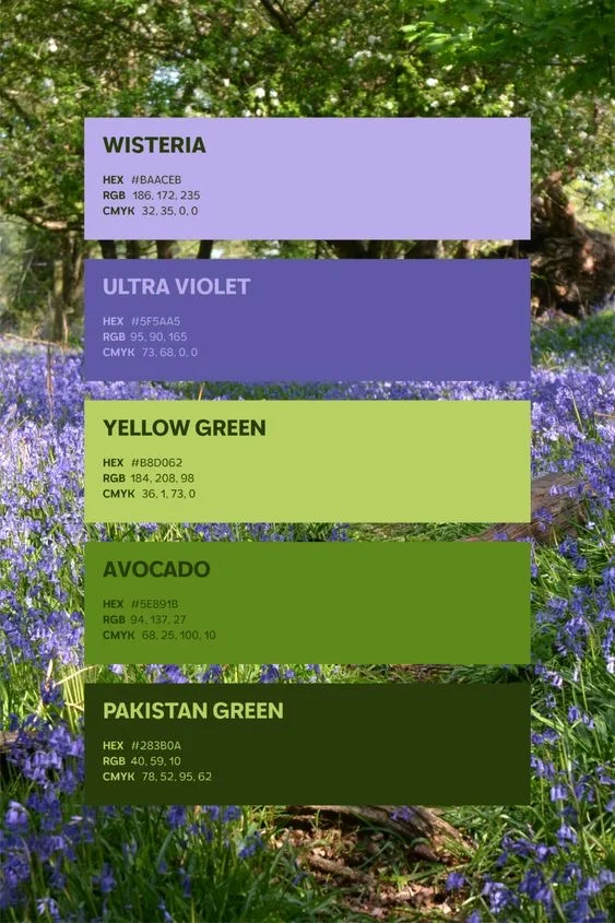 每日色卡Vol.23|春夏必收的氛围感配色 ✅