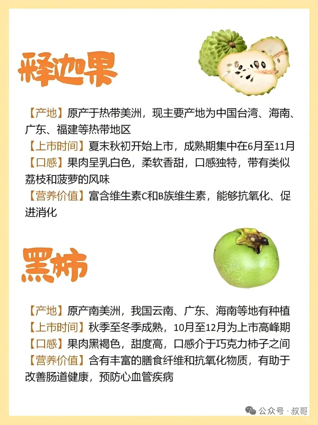 存在感不强的小众水果介绍~~