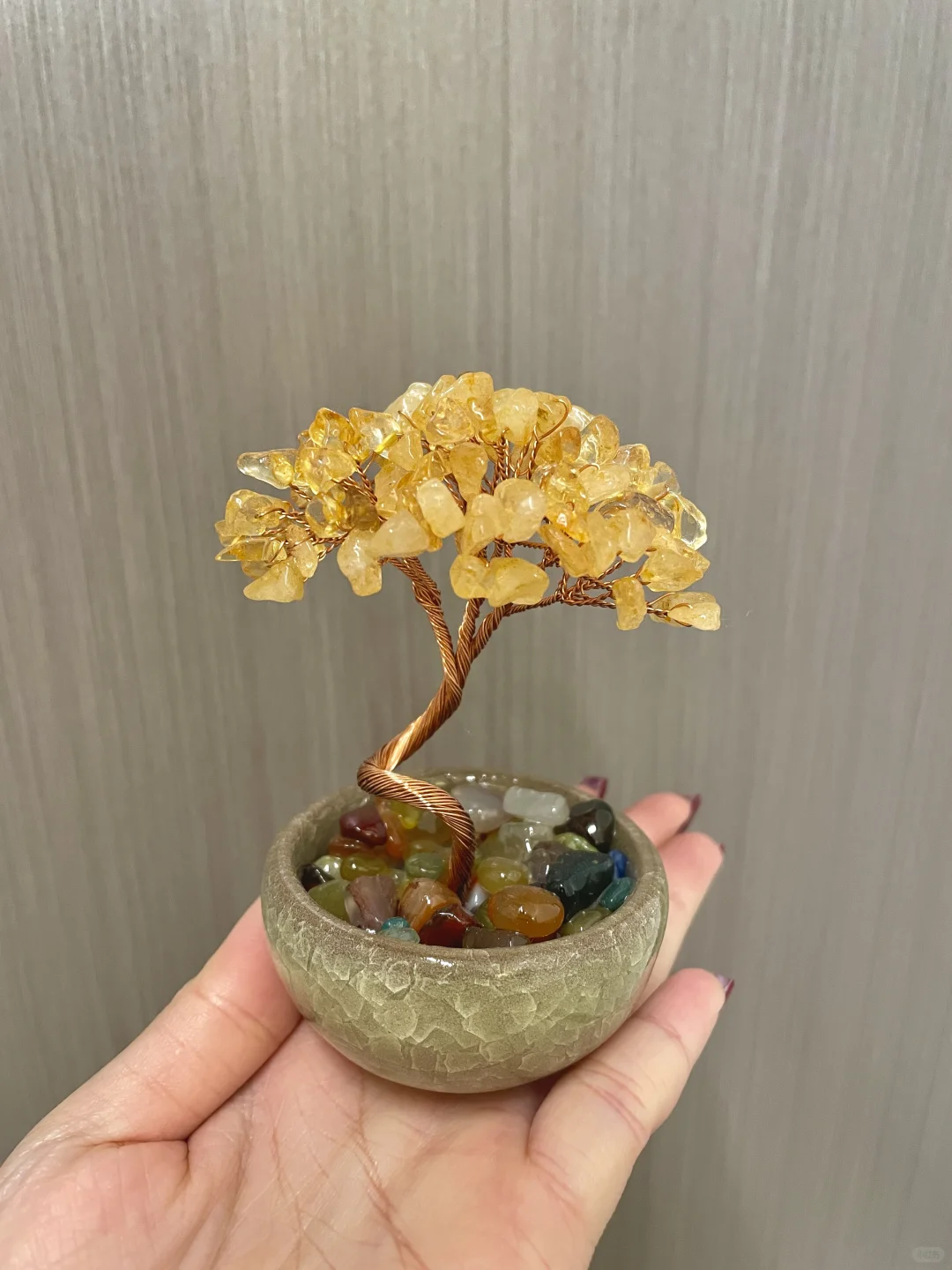 工位上的招财树✨真的好喜欢啊?