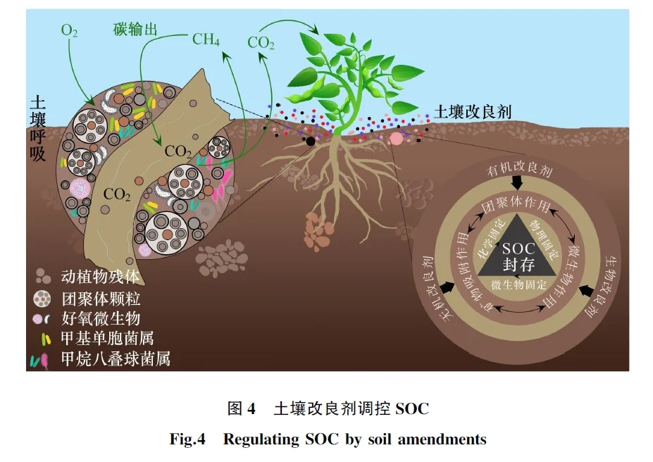 综述 | 酸化土壤改良与固碳研究进展