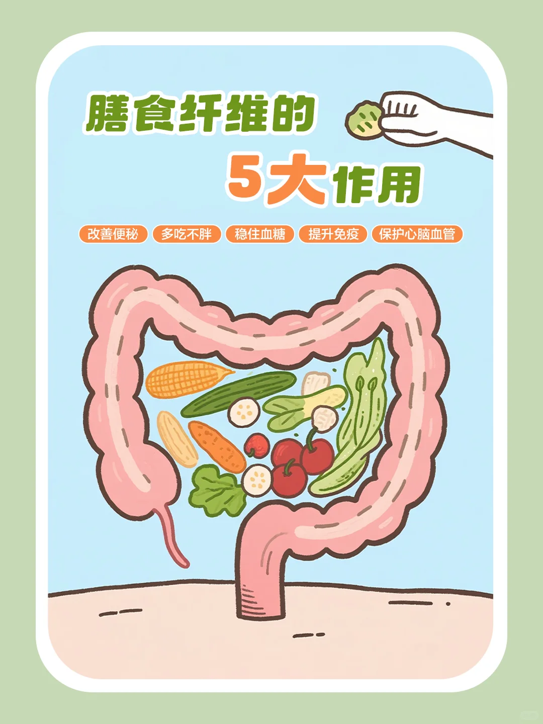 膳食纤维是啥？为啥这么牛？