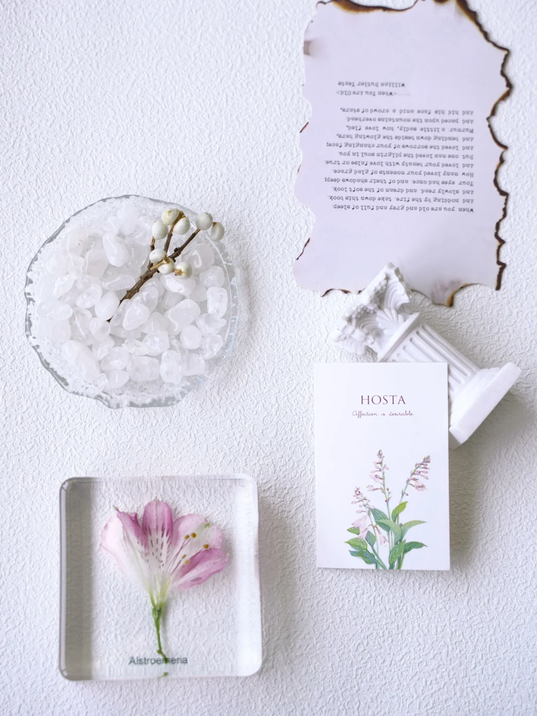 ✨超详细！水仙百合树脂标本制作记录