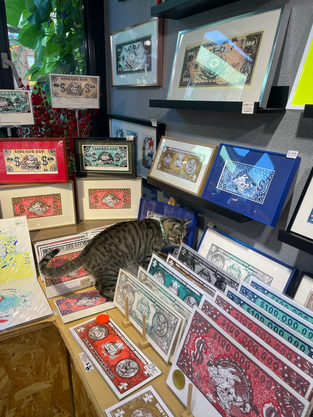 版画工作室里的猫咪鉴赏家?