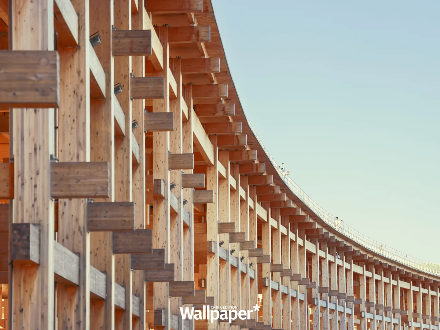 拍了2025大阪世博会,for Wallpaper中文版