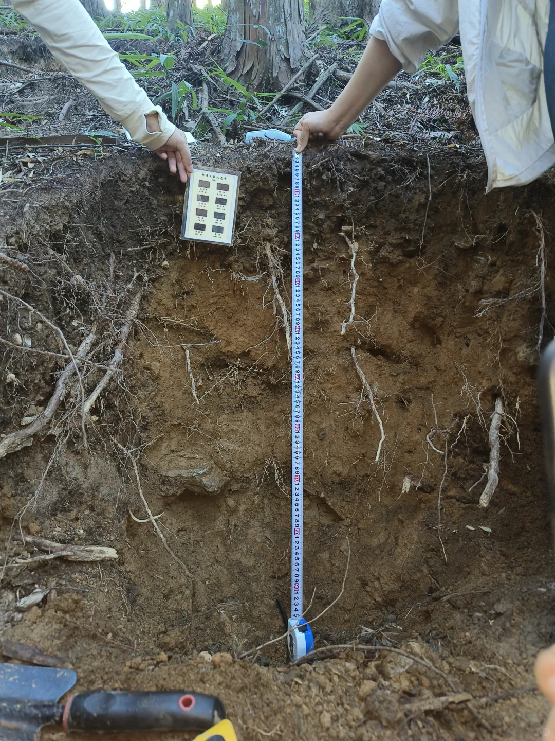 求助！这三个土壤剖面都能看到哪些土层呀