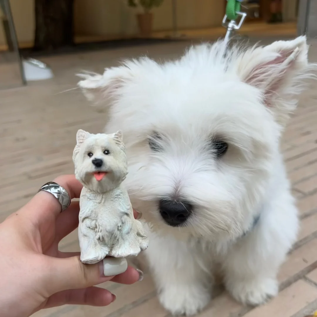 拒绝撞款！我的专属木雕把故事雕进木纹里