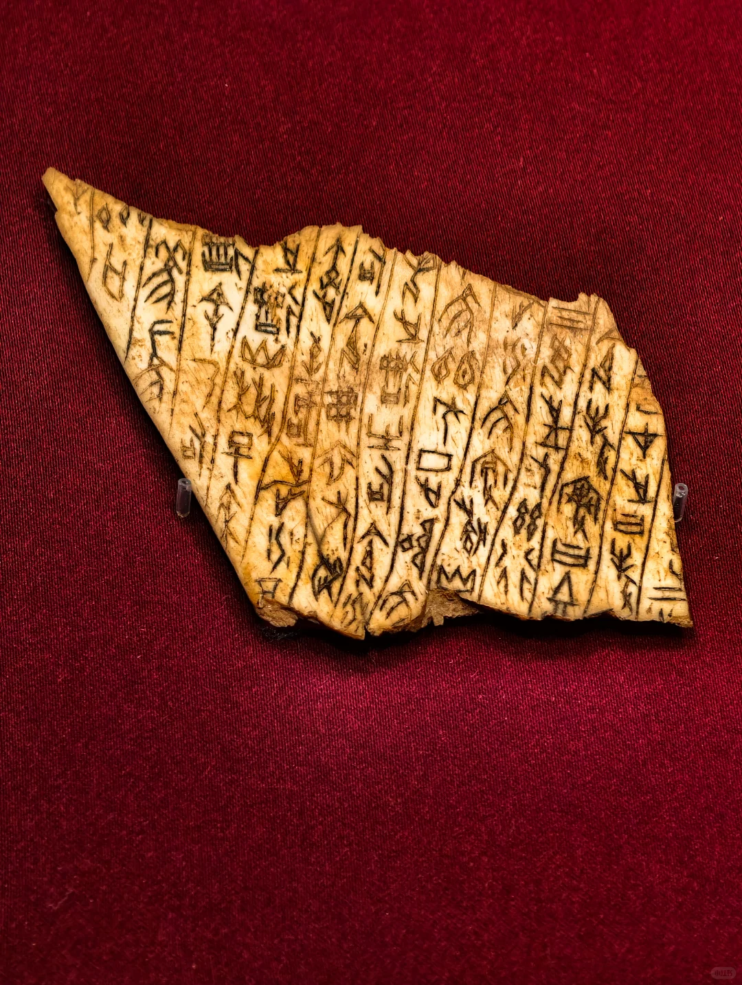 6.1实况?穿越3000年,一眼看·见殷商