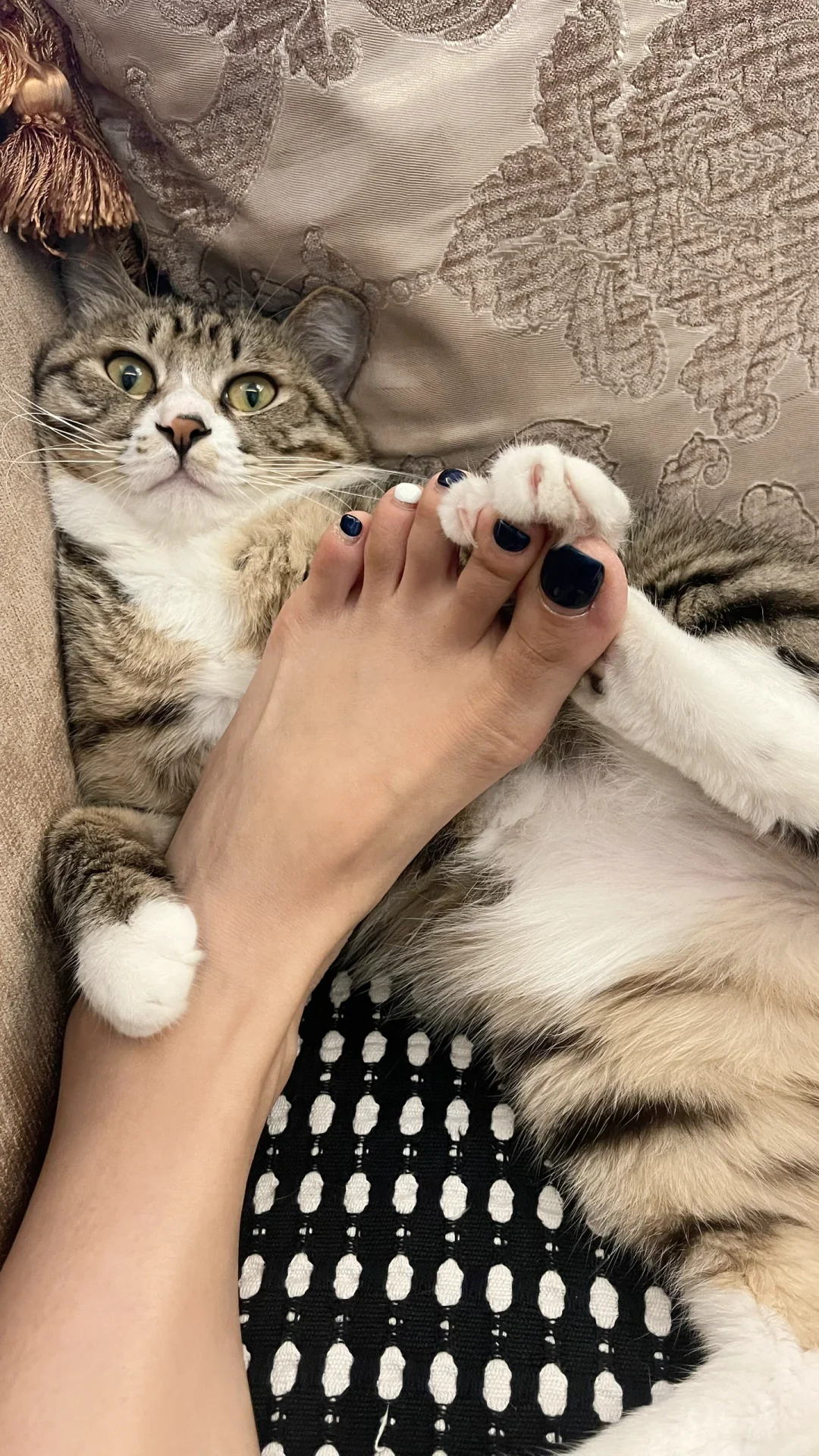 昨天看钱姐帖子的！今天玻璃爆赚啊啊啊啊！