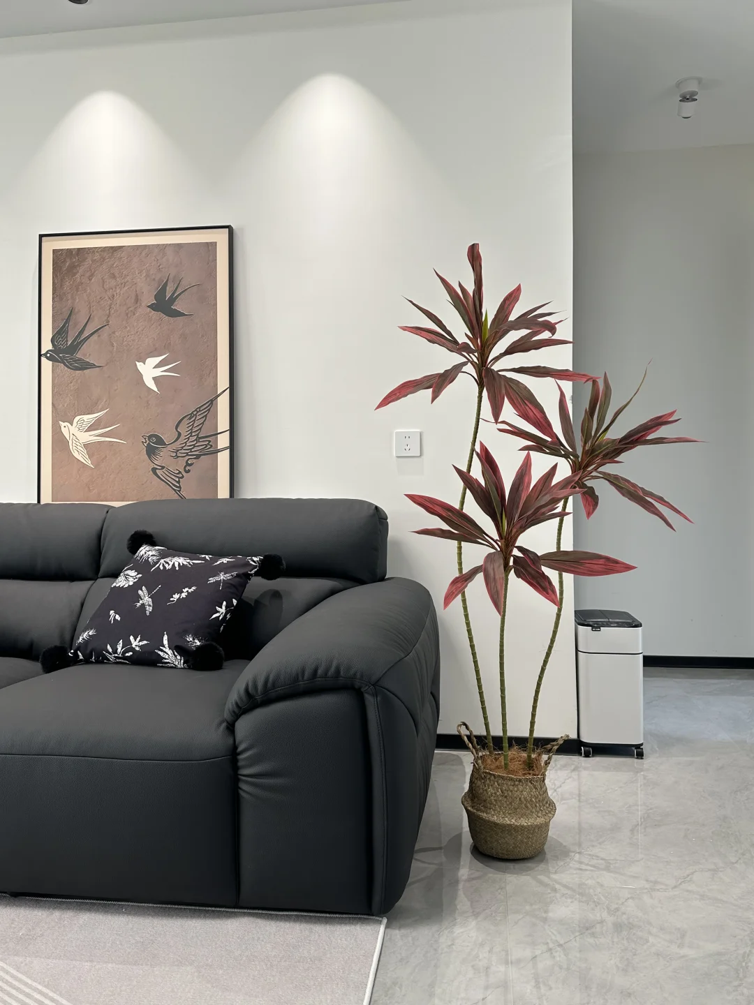 黑白灰的小家太需要它了！！